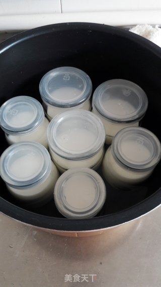 自制酸奶的做法步骤：10
