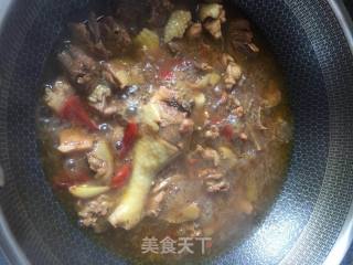 红烧鸡块的做法步骤：4