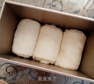 超级绵软的蜜豆白吐司 软到扶不起的软妹子的做法步骤：16