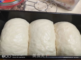 吐司面包的做法步骤：12