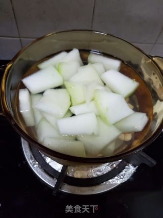瑶柱瘦肉冬瓜汤的做法步骤：8