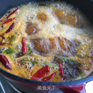 家常啤酒鸭的做法步骤：9