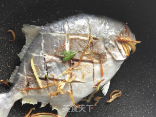 红烧金鲳鱼的做法步骤：5