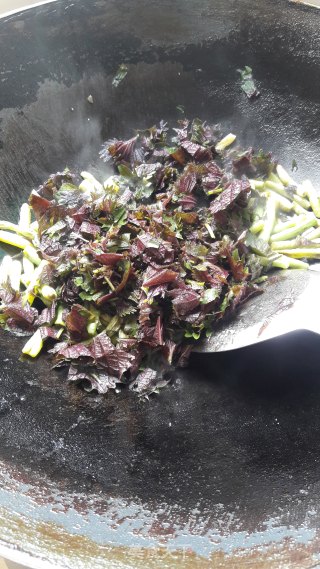 紫苏炒豆角的做法步骤：10