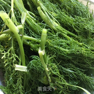茴香馅肉包的做法步骤：3