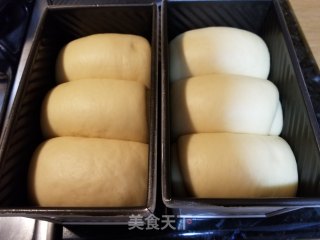超软甜吐司的做法步骤：11