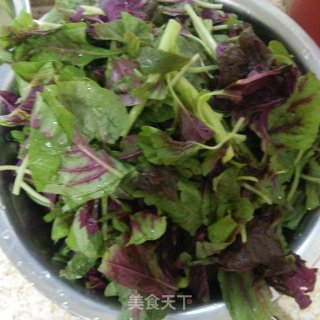 蒜蓉苋菜的做法步骤：1