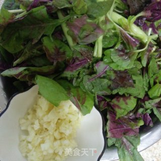 蒜蓉苋菜的做法步骤：2
