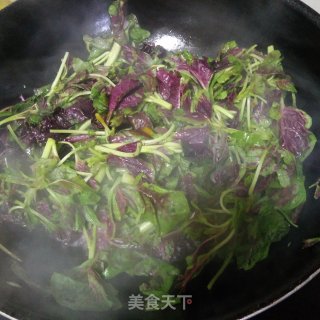 蒜蓉苋菜的做法步骤：4