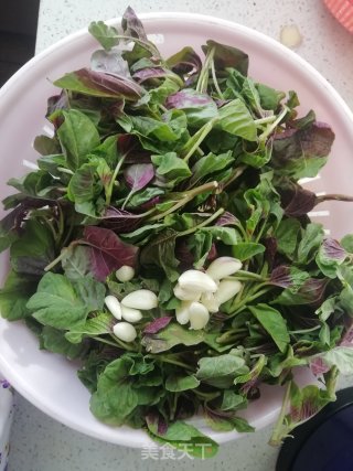 素炒苋菜的做法步骤：1