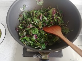 素炒苋菜的做法步骤：5