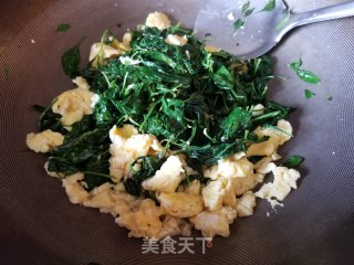枸杞叶炒鸡蛋的做法步骤：9