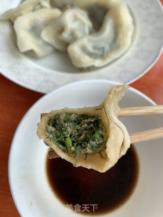 茴香猪肉馅水饺的做法步骤：8