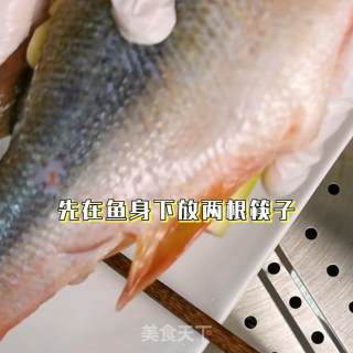 海鲈鱼做法，海鲈鱼怎么做好吃的做法步骤：8