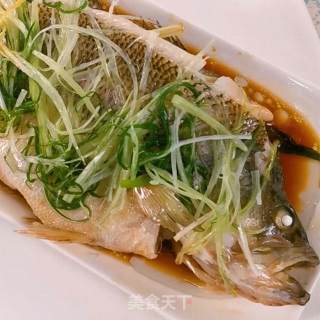 海鲈鱼做法，海鲈鱼怎么做好吃的做法步骤：12