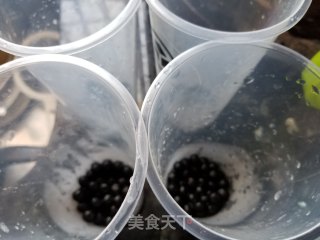 波霸奶茶的做法步骤：3