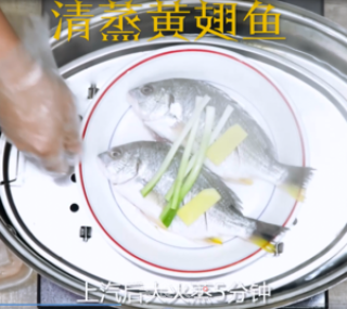 黄翅鱼清蒸，黄翅鱼做法的做法步骤：2