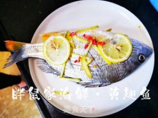 柠檬黄翅鱼清蒸做法的做法步骤：3
