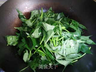 蒜蓉红薯叶的做法步骤：2