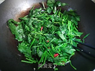 蒜蓉红薯叶的做法步骤：3