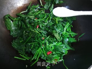 蒜蓉红薯叶的做法步骤：5