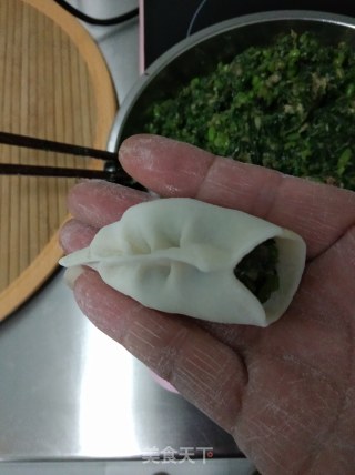 猪肉茼蒿馅饺子的做法步骤：8