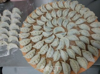 猪肉茼蒿馅饺子的做法步骤：9