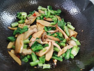 杏鲍菇炒春菜的做法步骤：9
