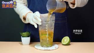 凤梨香柠四季春茶的做法步骤：8
