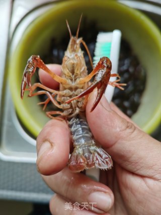 金汤蒜蓉小龙虾的做法步骤：2