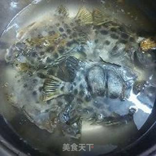 金鼓鱼清蒸大法的做法步骤：5