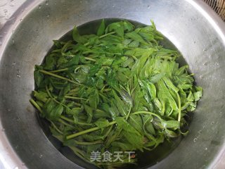 凉拌香椿的做法步骤：3
