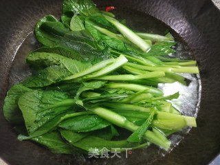 虎皮鹌鹑蛋盖菜心的做法步骤：6