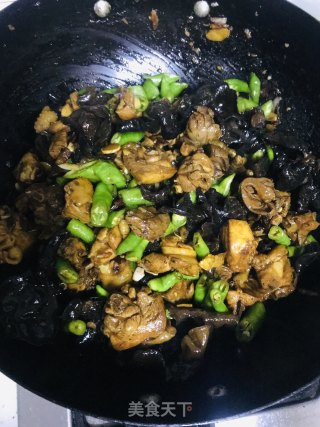 尖椒鸡的做法步骤：9