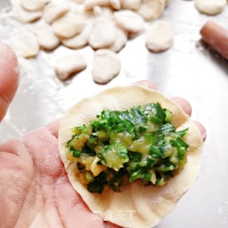 鸡肉韭菜饺子的做法步骤：10