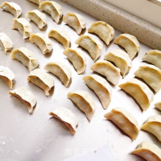 鸡肉韭菜饺子的做法步骤：12