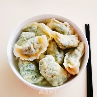 鸡肉韭菜饺子的做法步骤：13