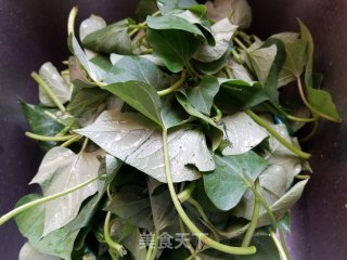 腐乳蒜蓉炒蕃薯叶的做法步骤：2