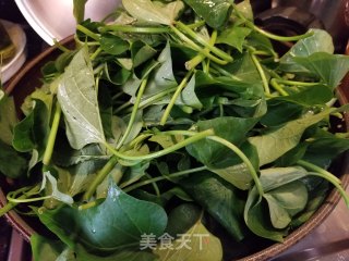 腐乳蒜蓉炒蕃薯叶的做法步骤：8
