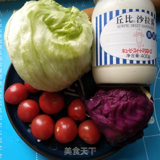 食蔬沙拉的做法步骤：1