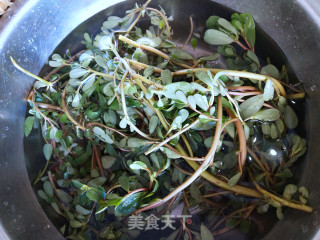 凉拌马齿苋的做法步骤：3