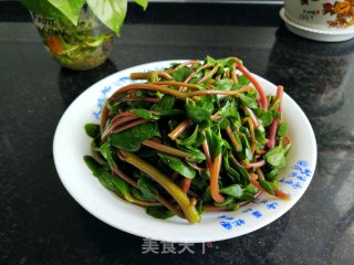 凉拌马齿苋的做法步骤：7