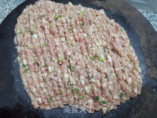 大蒜猪肉水饺的做法步骤：3