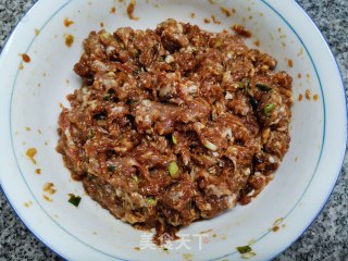 大蒜猪肉水饺的做法步骤：5