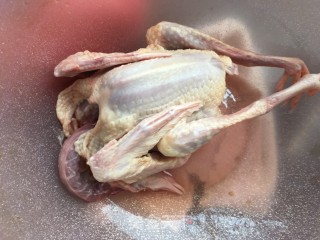 灵芝虫草鸽子汤的做法步骤：1