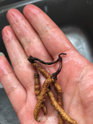 灵芝虫草鸽子汤的做法步骤：4