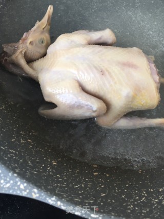 灵芝虫草鸽子汤的做法步骤：9