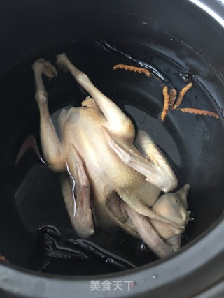 灵芝虫草鸽子汤的做法步骤：10