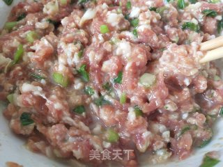 彩色冰花煎饺的做法步骤：2