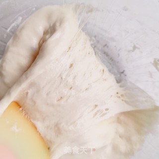 波兰种白吐司的做法步骤：4